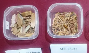 Phát hiện công xưởng chế tác mũi khoan bằng đá hàng nghìn năm tuổi ở Tây Nguyên Phát hiện công xưởng chế tác mũi khoan bằng đá hàng nghìn năm tuổi ở Tây Nguyên