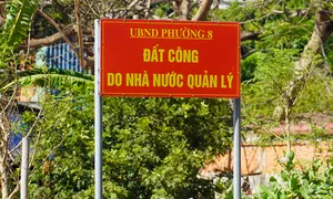 Chiêu trò của nhóm làm giả giấy tờ đất ở Vũng Tàu lừa đại gia